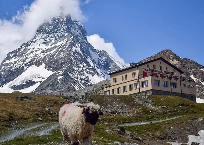 Hotel Schwarzsee Zermatt